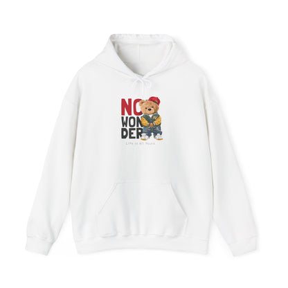 No Wonder Bear Hoodie – Cute Teddy Graphic Hooded Sweatshirt
