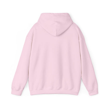 OMG No One Cares Hooded Sweatshirt