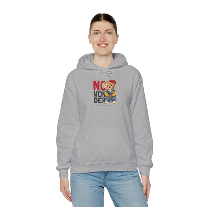 No Wonder Bear Hoodie – Cute Teddy Graphic Hooded Sweatshirt