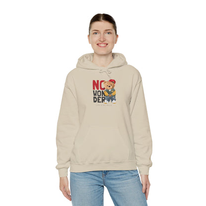 No Wonder Bear Hoodie – Cute Teddy Graphic Hooded Sweatshirt