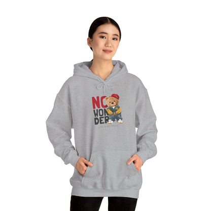 No Wonder Bear Hoodie – Cute Teddy Graphic Hooded Sweatshirt
