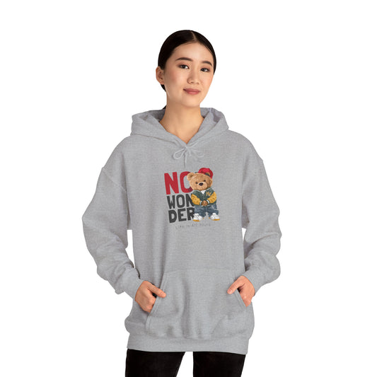 No Wonder Bear Hoodie – Cute Teddy Graphic Hooded Sweatshirt
