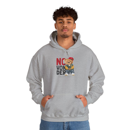 No Wonder Bear Hoodie – Cute Teddy Graphic Hooded Sweatshirt