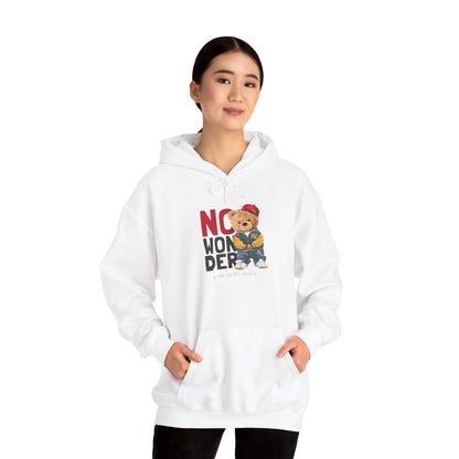 No Wonder Bear Hoodie – Cute Teddy Graphic Hooded Sweatshirt