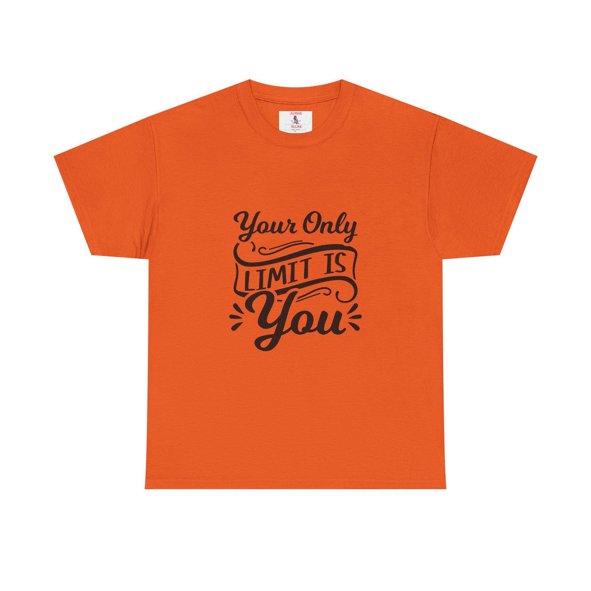 Motivational Tee — "Your Only Limit Is You / You Only Fail When You Stop Trying" Inspirational Shirt