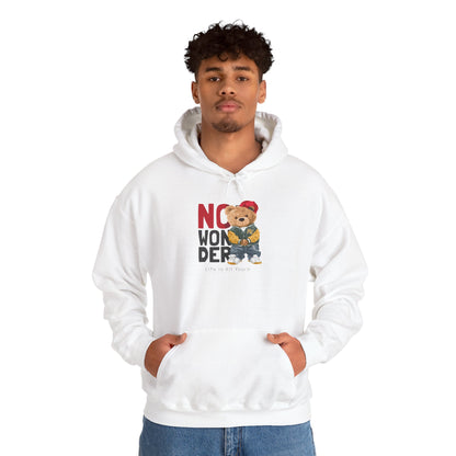 No Wonder Bear Hoodie – Cute Teddy Graphic Hooded Sweatshirt